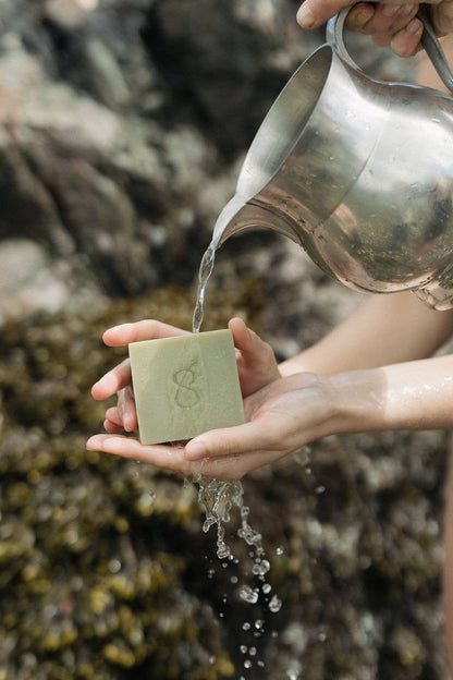 Coastal Garden Soap Bar close-up — natural tallow soap peppermint rosemary