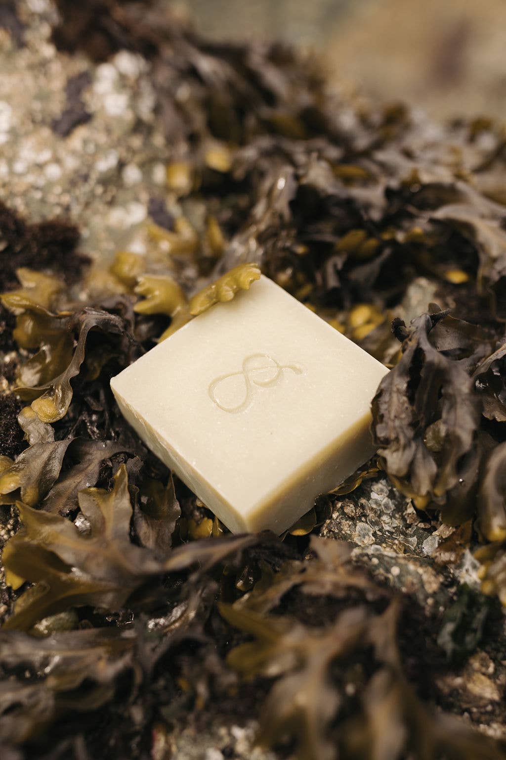 Coastal Garden Soap Bar flat lay — eco-friendly natural soap bar Canada